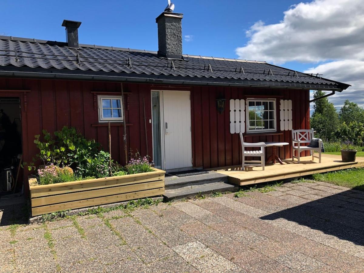 Cozy 1,5 From Oslo Hamar (Hedmark)