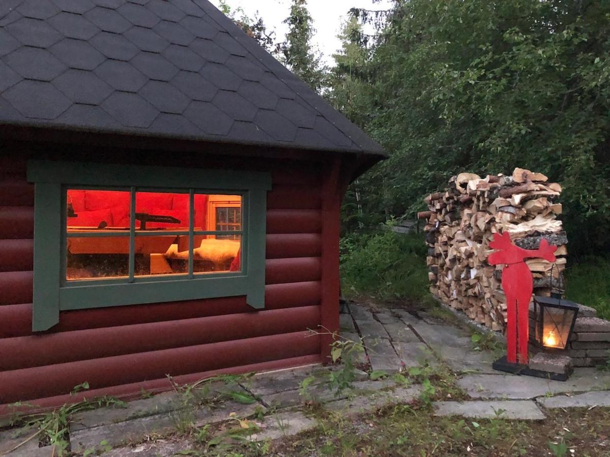 Cozy 1,5 From Oslo